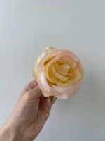 Троянда бутон середня персик