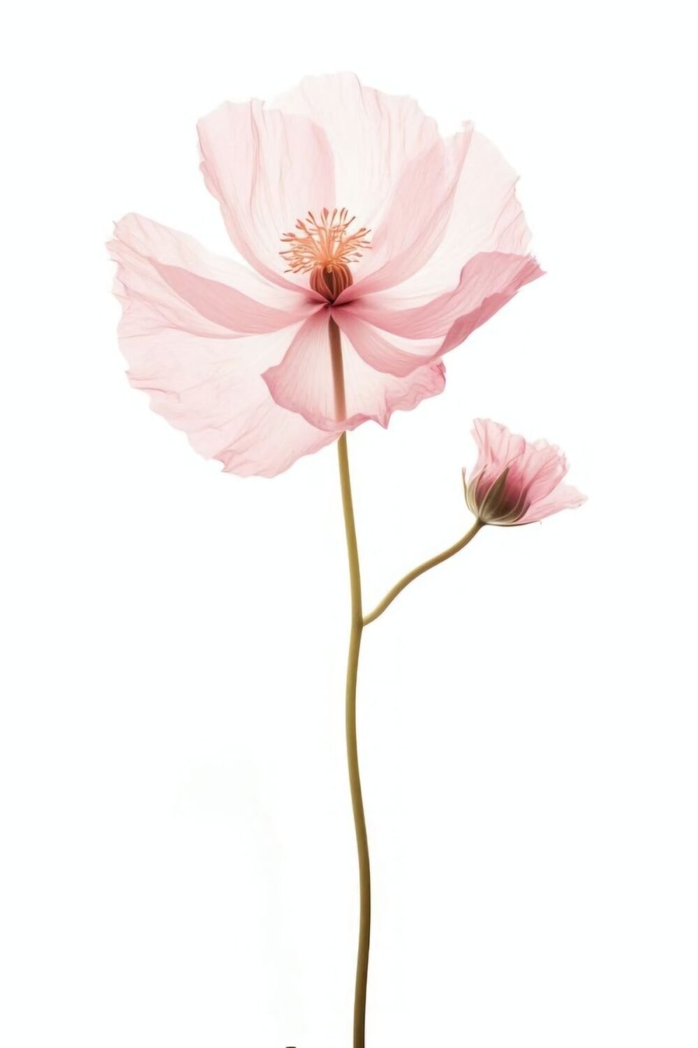 Головна img 8717