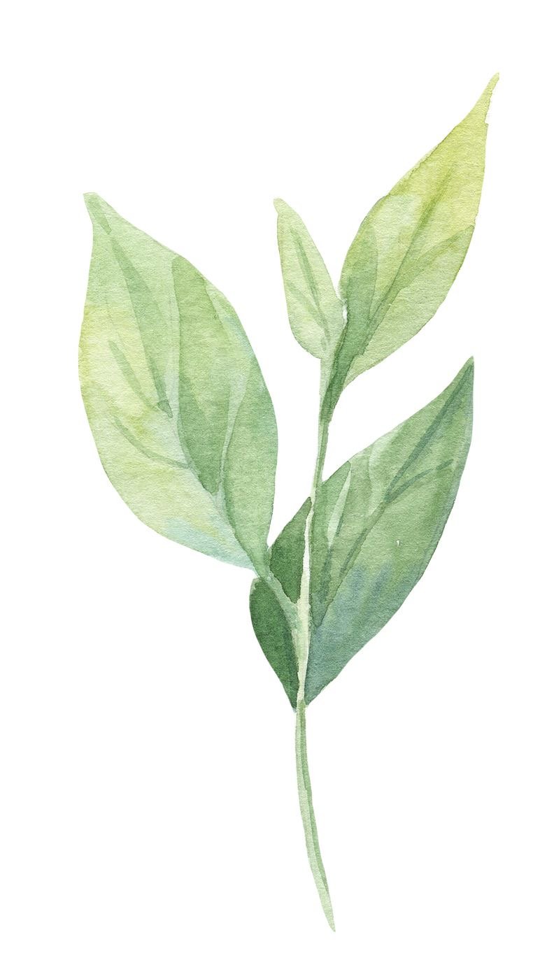 Головна img 8719