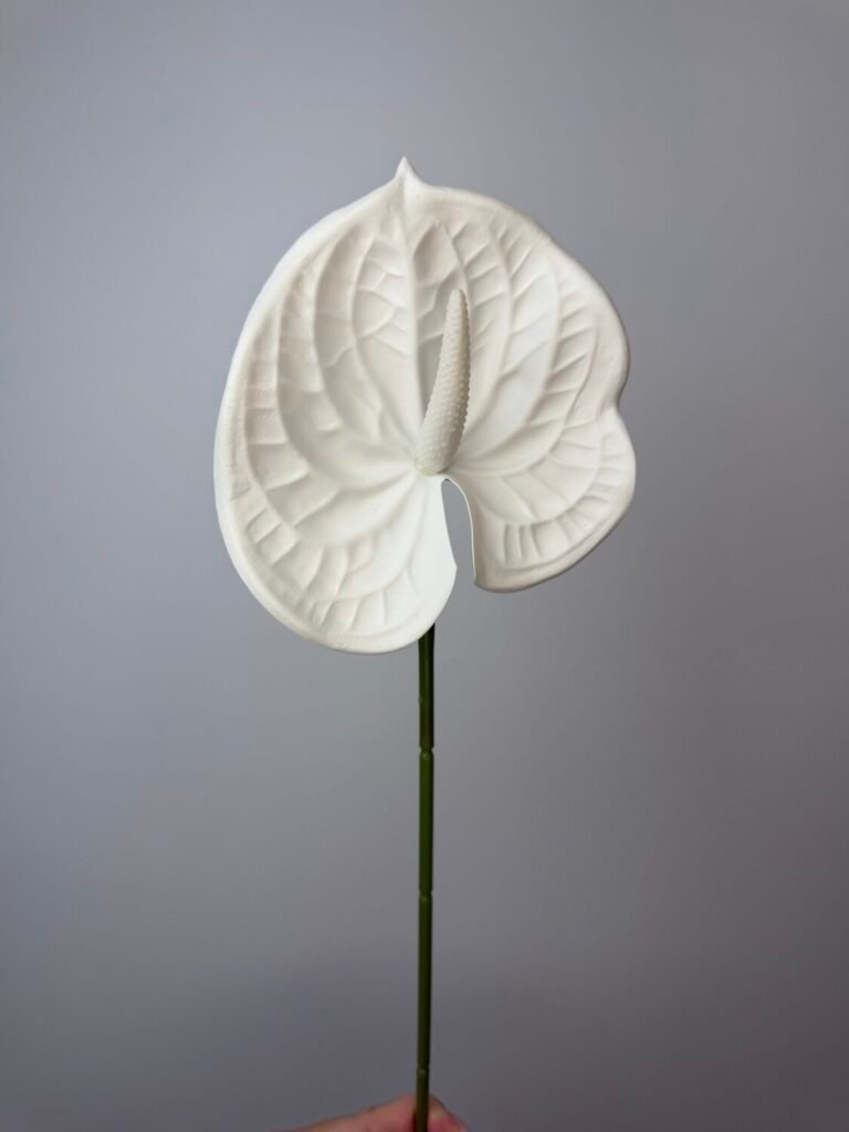 Товари зі знижкою img 8935