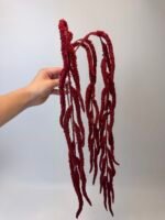 Амарант бордовий