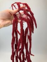 Амарант бордовий - Зображення 2