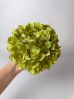 Гортензія люкс зелена 24 см