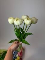 Тюльпани піоновидні молочні 40 см