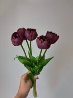 Тюльпани піоновидні сливові 40 см - Зображення 2