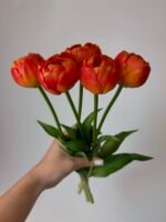 Тюльпани піоновидні помаранчеві 40 см