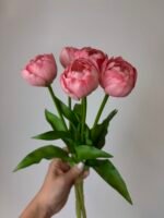 Тюльпани піоновидні пудрові 40 см