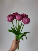 Тюльпани піоновидні темно малинові 40 см - Зображення 2