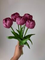 Тюльпани піоновидні темно малинові 40 см