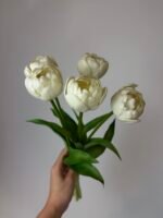 Тюльпани піоновидні білі 40 см