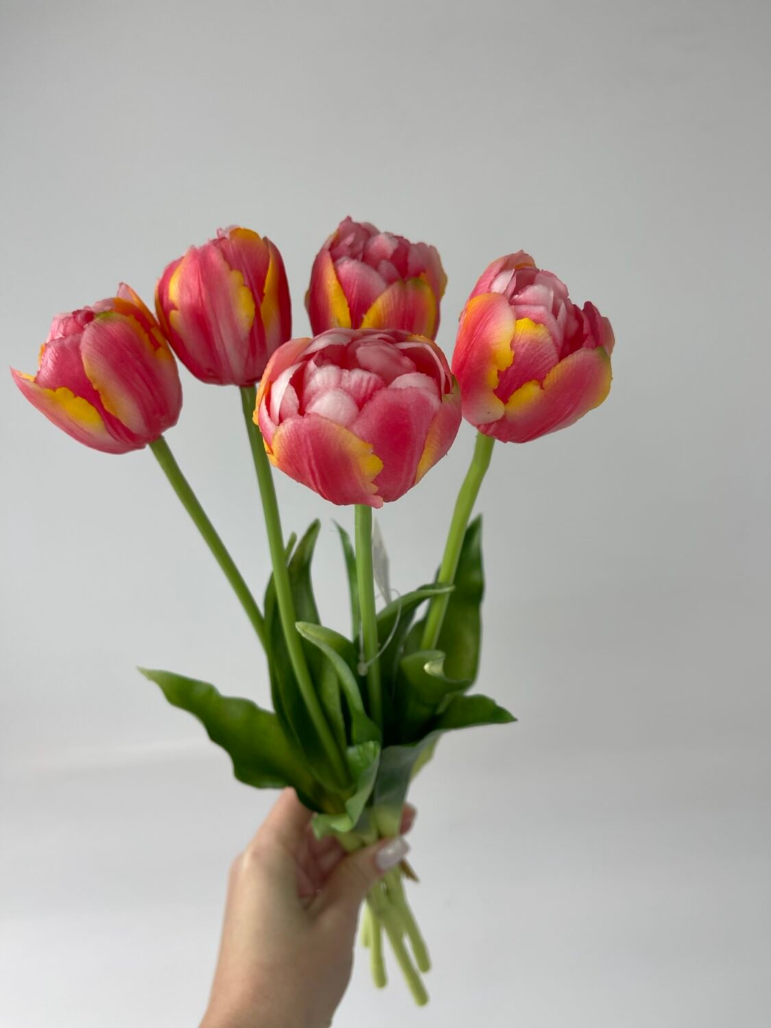 img_2285 Тюльпани піонов.рожеві - Зображення 1