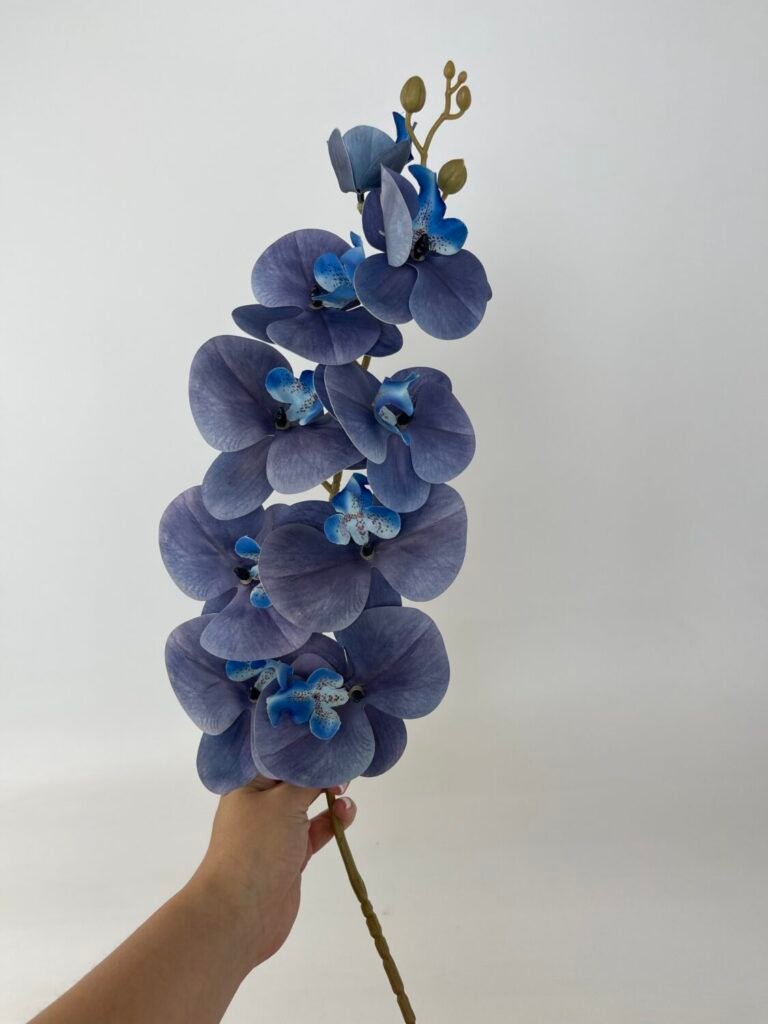 Товари зі знижкою img 4795