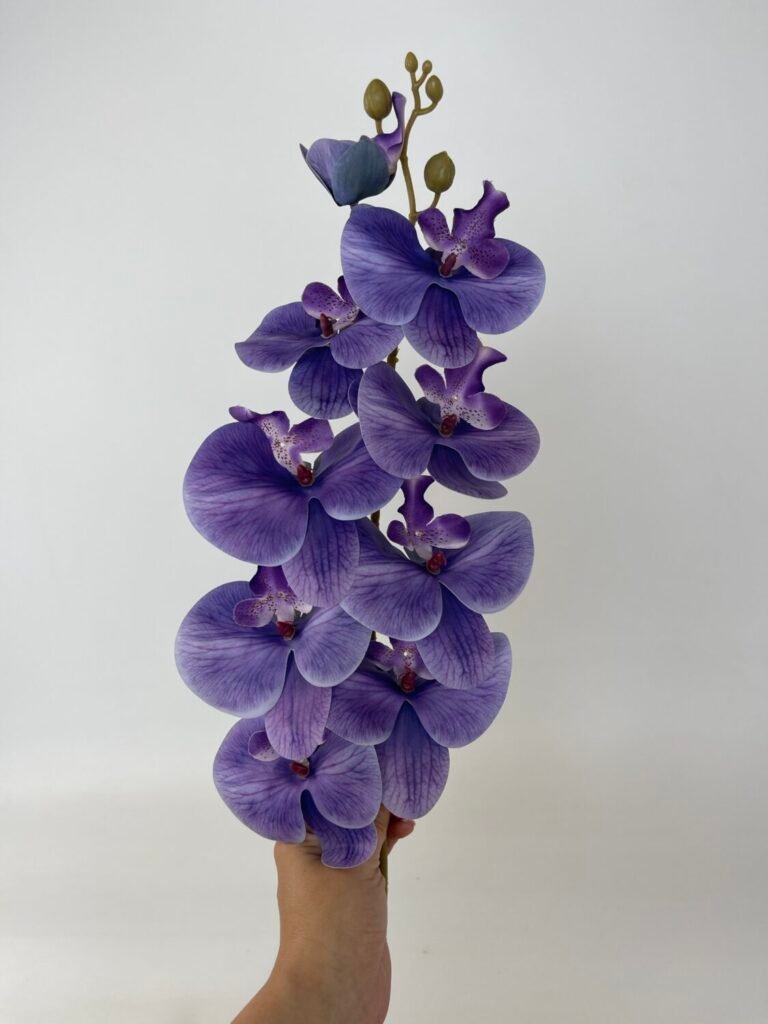 Товари зі знижкою img 4796