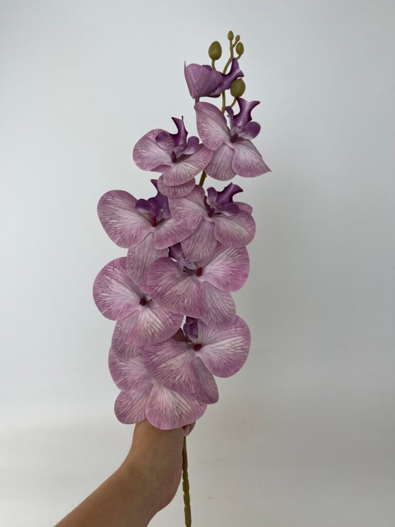 Товари зі знижкою img 4797