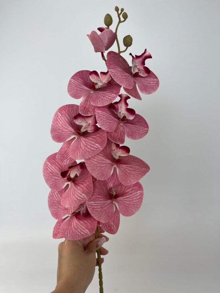 Товари зі знижкою img 4799