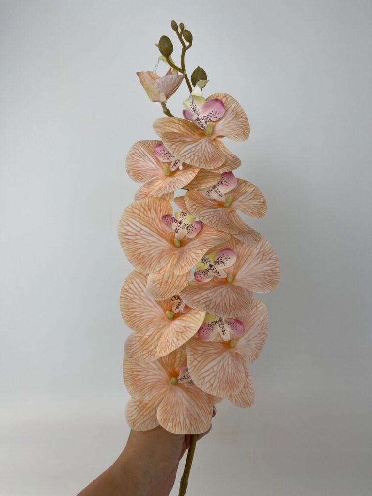 Товари зі знижкою img 4800