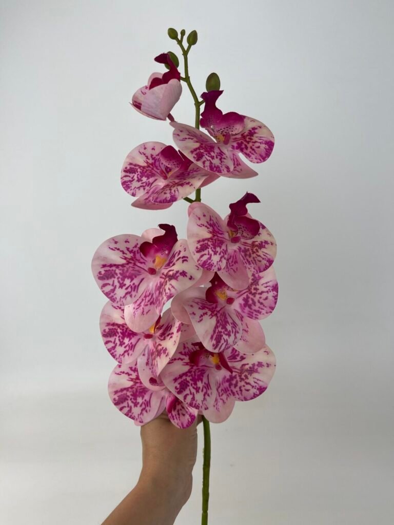 Товари зі знижкою img 4802