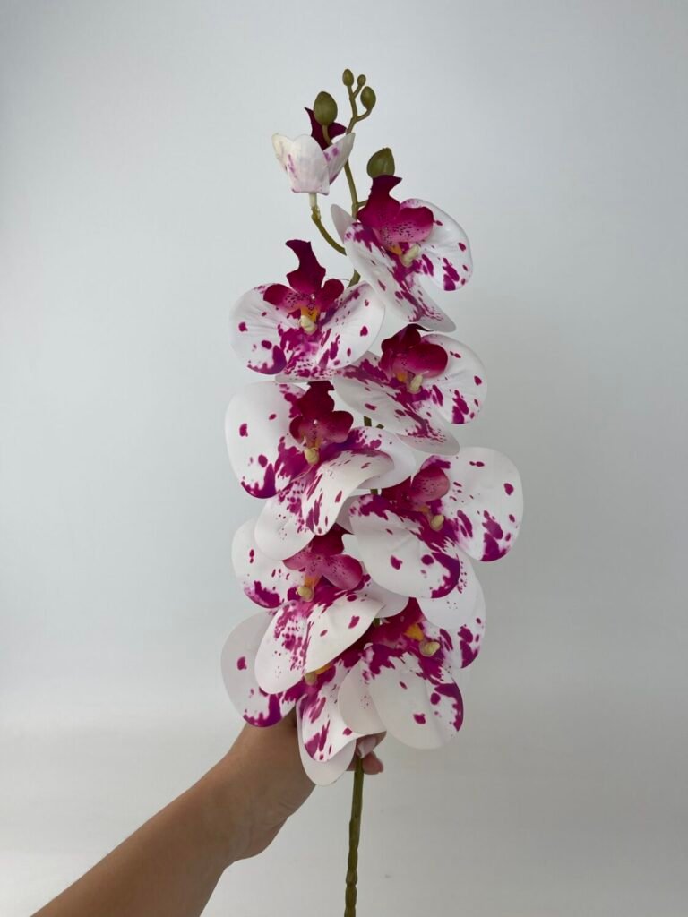 Товари зі знижкою img 4804