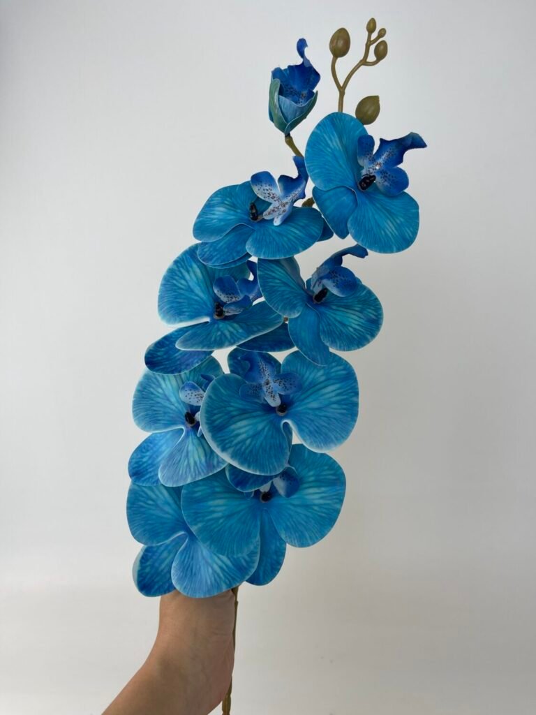 Товари зі знижкою img 4810