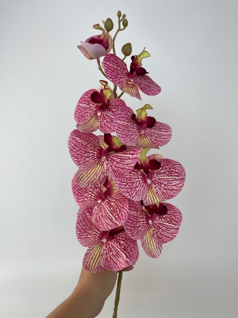 Товари зі знижкою img 4811