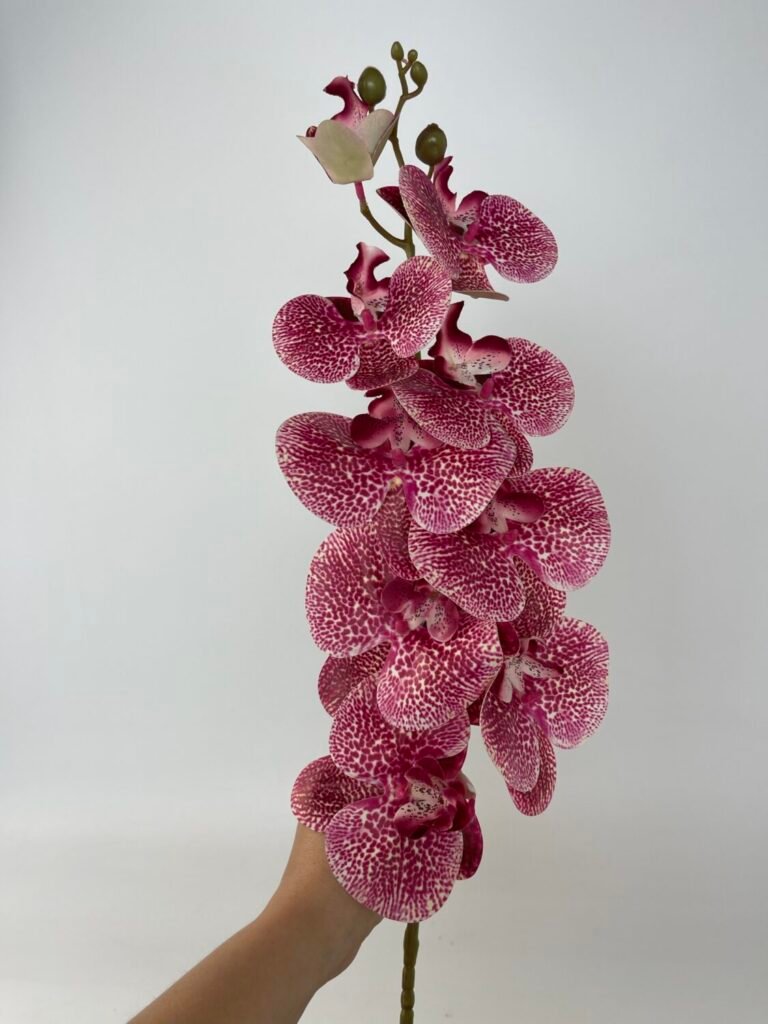 Товари зі знижкою img 4812