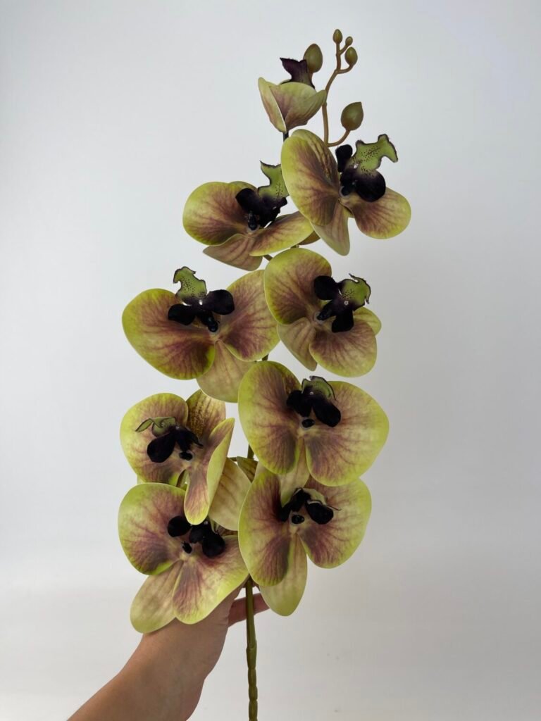 Товари зі знижкою img 4813