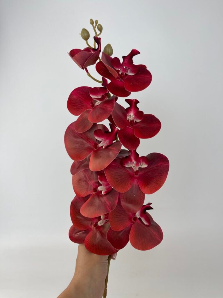 Головна img 4814