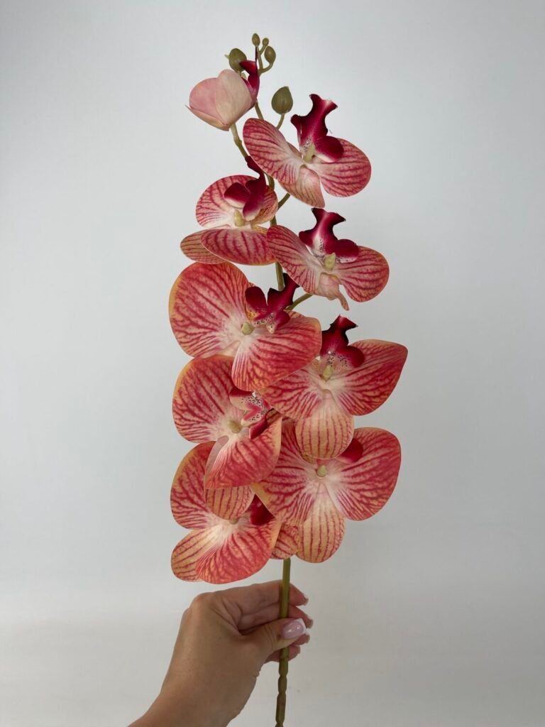 Товари зі знижкою img 4817