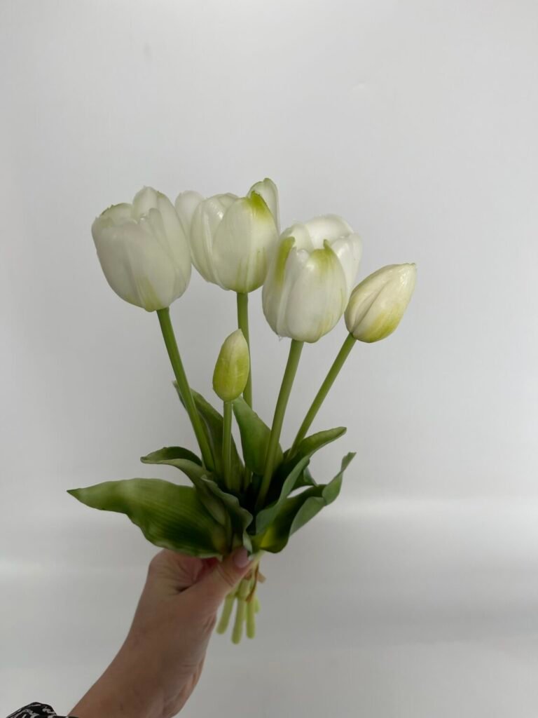 Головна img 6668