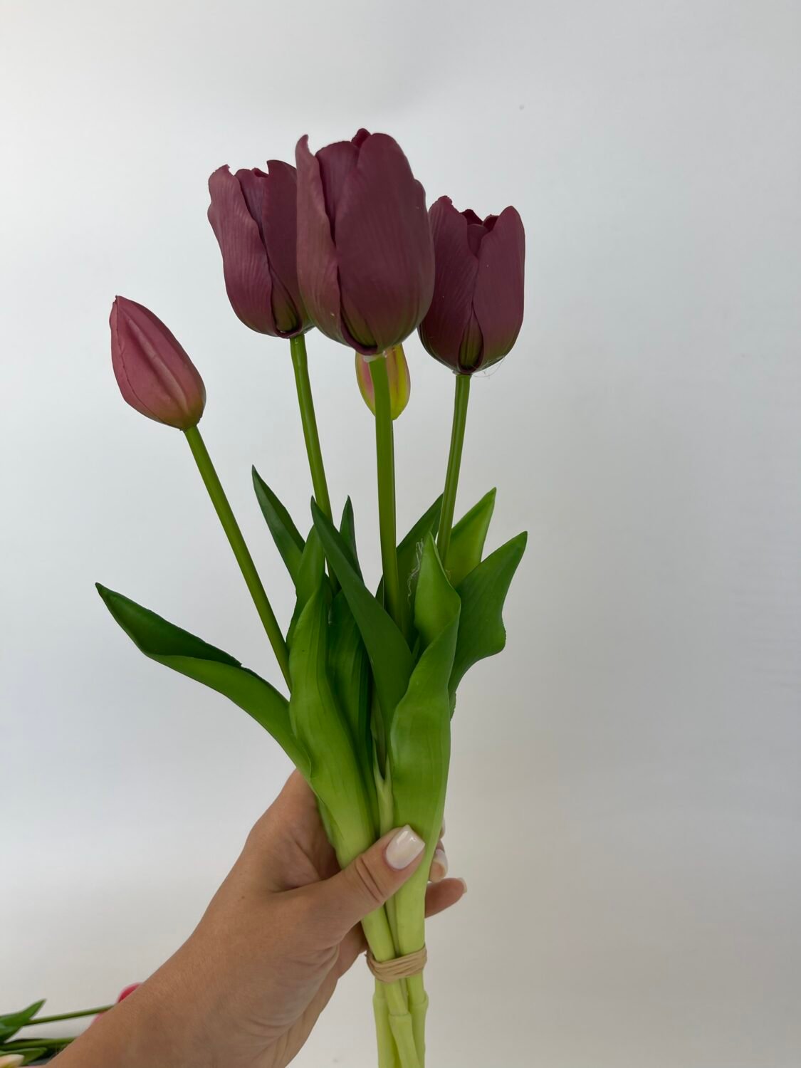 img_7211 Тюльпани преміум сливові - Зображення 1