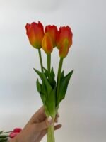 Тюльпани преміум помаранчеві - Зображення 2