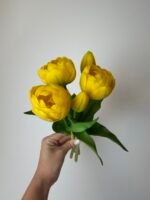 Тюльпани жовті піоновидні 3+2 30см.