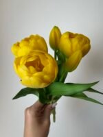 Тюльпани жовті піоновидні 3+2 30см. - Зображення 2