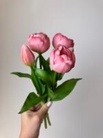 Тюльпани пудрові піоновидні 3+2 30см.