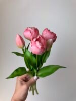Тюльпани пудрові піоновидні 3+2 30см. - Зображення 3