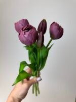 Тюльпани сливові піоновидні 3+2 30см.