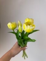 Тюльпани світло жовті піоновидні 3+2 30см. - Зображення 2