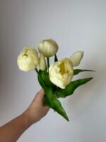 Тюльпани молочні піоновидні 3+2 30см. - Зображення 3
