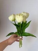 Тюльпани молочні піоновидні 3+2 30см.