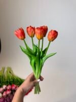 Тюльпани класік помаранчеві піоновидні - Зображення 2