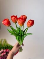 Тюльпани класік помаранчеві піоновидні