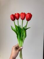 Тюльпани класік червоні піоновидні - Зображення 2