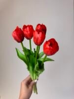 Тюльпани класік червоні піоновидні