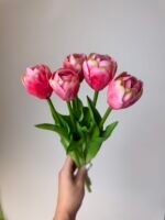 Тюльпани класік рожеві піоновидні