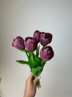 Тюльпани класік сливові піоновидні - Зображення 2