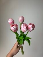 Тюльпани класік світло рожеві піоновидні - Зображення 2