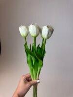Тюльпани класік білі піоновидні