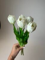 Тюльпани класік білі піоновидні - Зображення 2