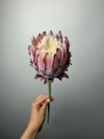 Протея преміум фіолетова