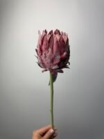 Протея преміум бордова - Зображення 2